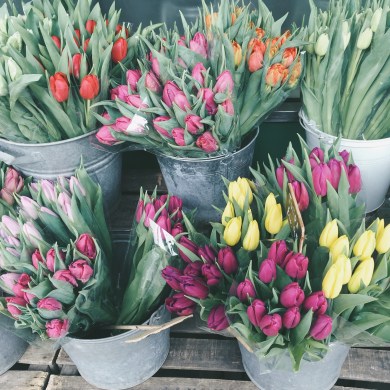 Processed with VSCOcam with a7 preset